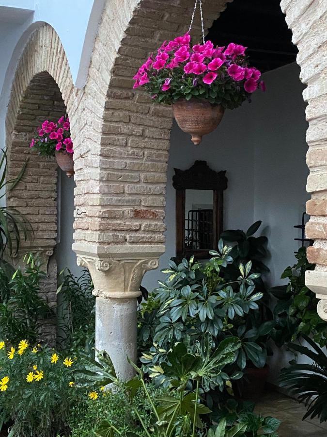 Appartement El Patio De Regina