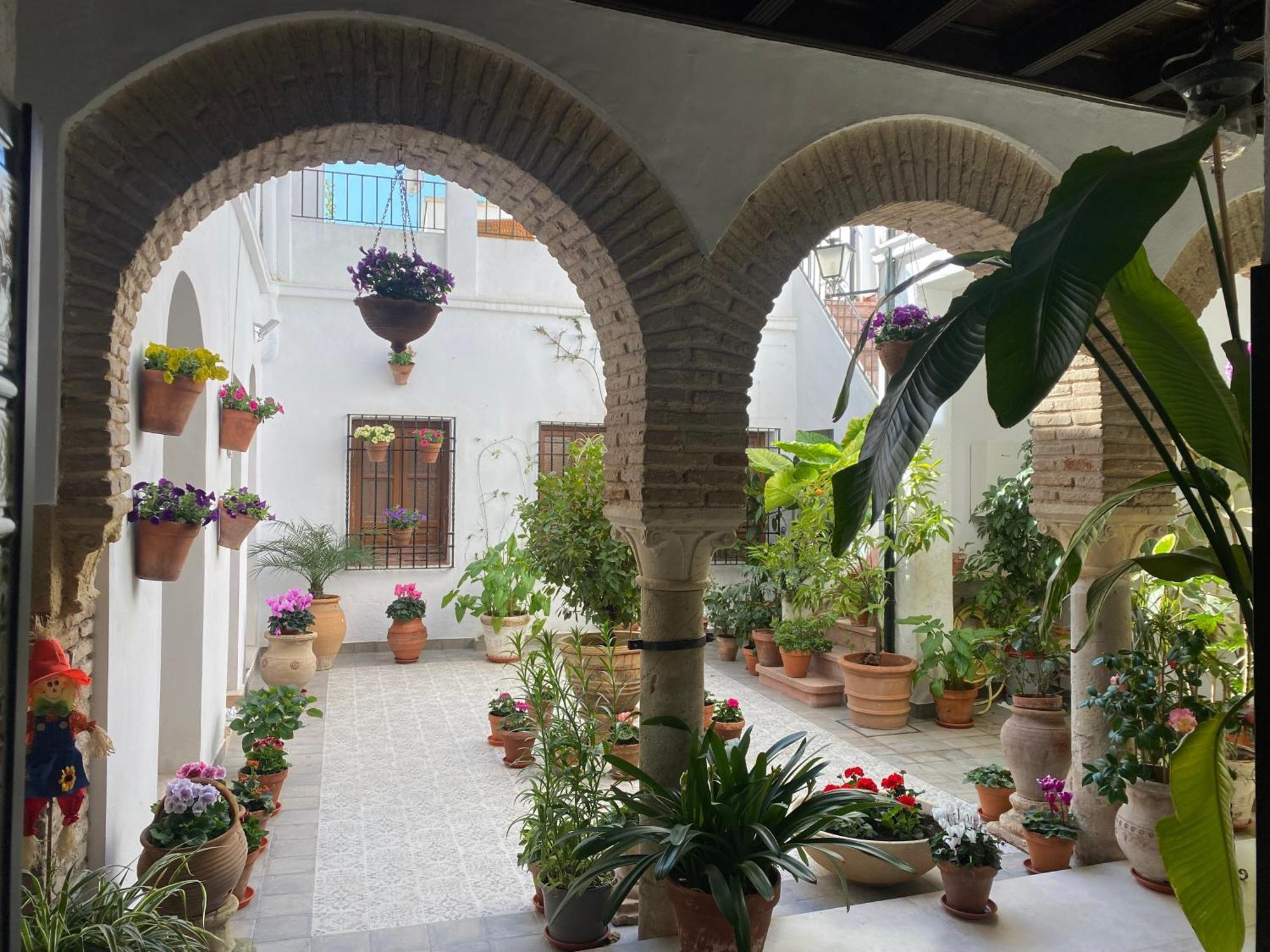 Appartement El Patio De Regina Córdoba