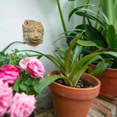 El Patio De Regina Appartement Córdoba Buitenkant foto