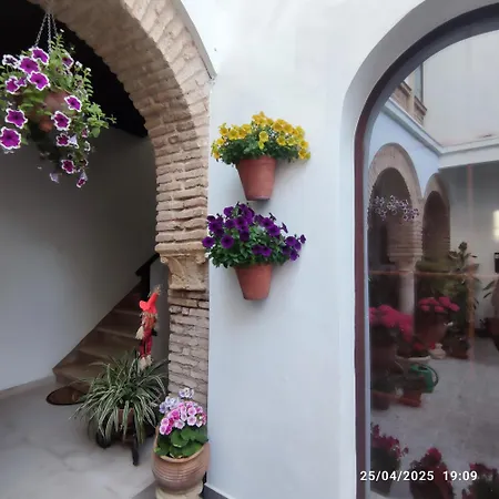 El Patio De Regina Apartment Cordoba Exterior photo