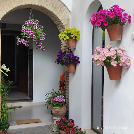 El Patio De Regina Apartment Cordoba Exterior photo
