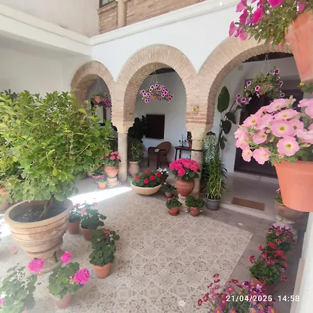 El Patio De Regina Apartment Cordoba Exterior photo