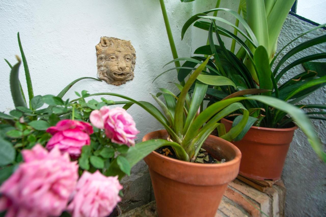 El Patio De Regina Appartement Córdoba
