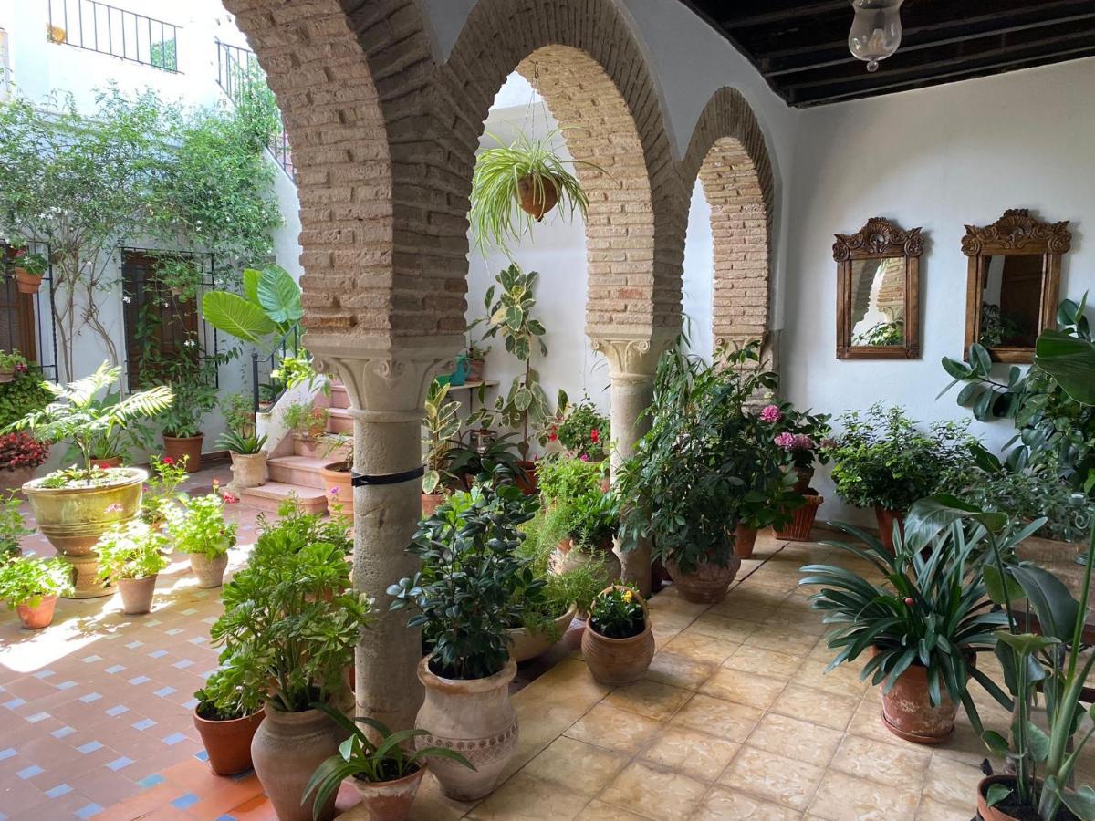 El Patio De Regina Apartament *